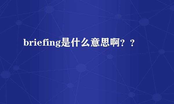 briefing是什么意思啊？？