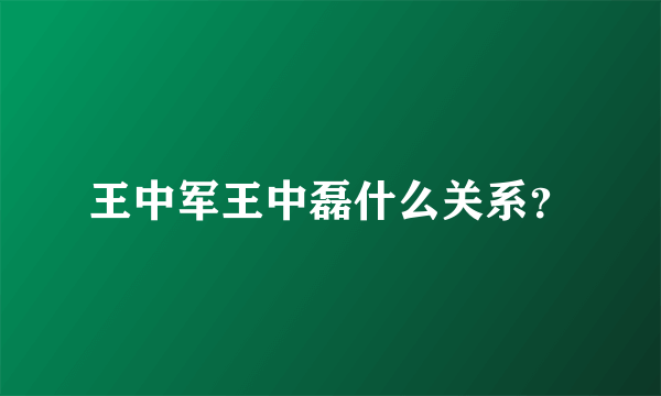 王中军王中磊什么关系？