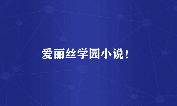 爱丽丝学园小说！