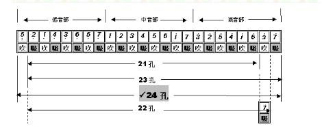 《天空之城》24孔口琴谱，不要吉他，钢琴谱