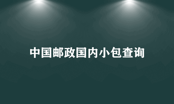 中国邮政国内小包查询