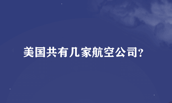 美国共有几家航空公司？