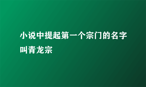 小说中提起第一个宗门的名字叫青龙宗