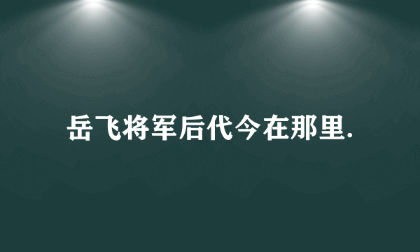 岳飞将军后代今在那里.