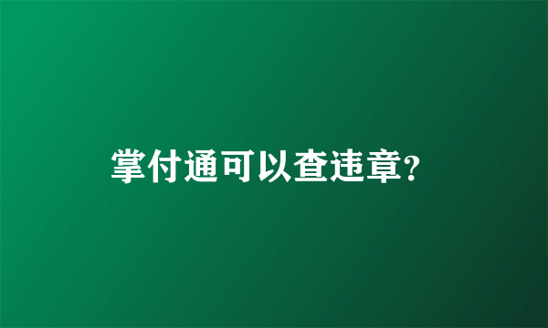 掌付通可以查违章？