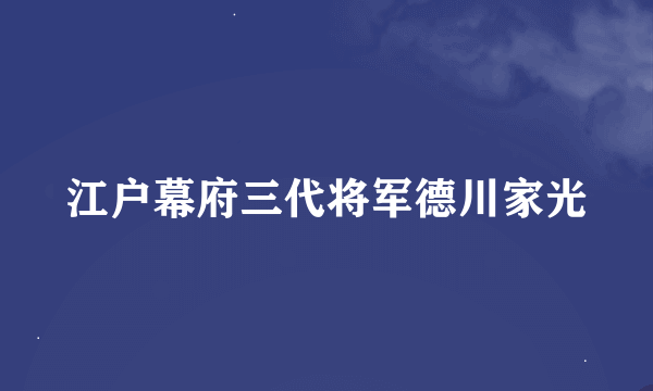 江户幕府三代将军德川家光