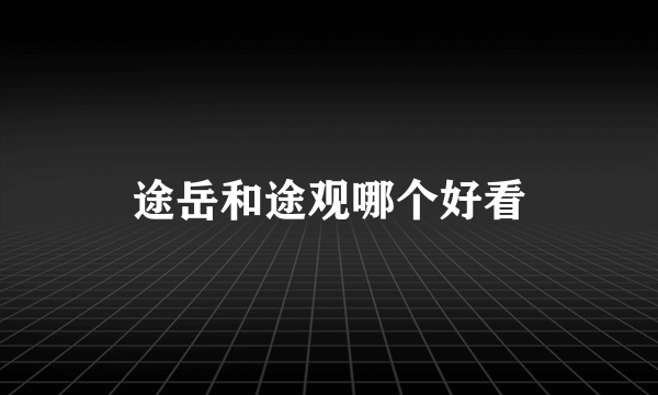 途岳和途观哪个好看