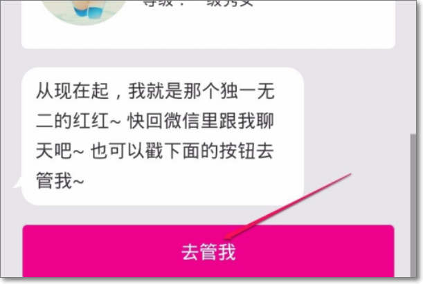 微软小冰领养后怎么用