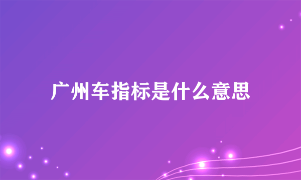 广州车指标是什么意思