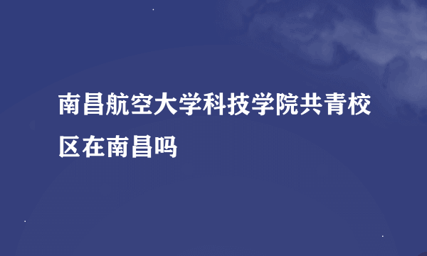 南昌航空大学科技学院共青校区在南昌吗