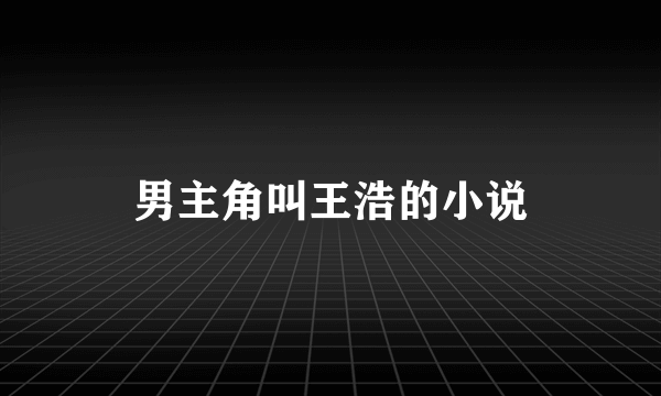 男主角叫王浩的小说