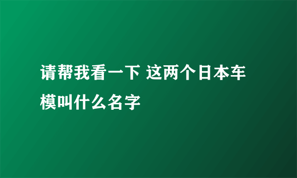 请帮我看一下 这两个日本车模叫什么名字