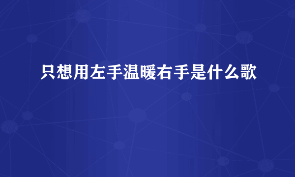 只想用左手温暖右手是什么歌