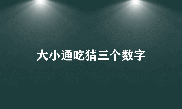 大小通吃猜三个数字