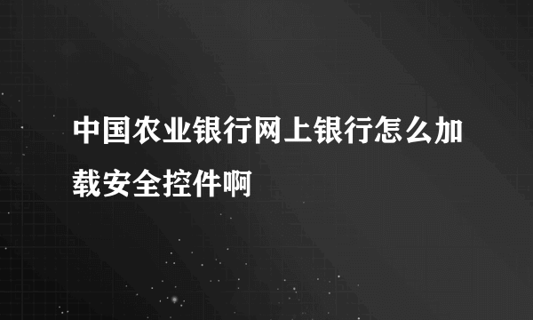 中国农业银行网上银行怎么加载安全控件啊