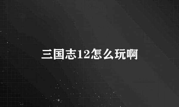 三国志12怎么玩啊