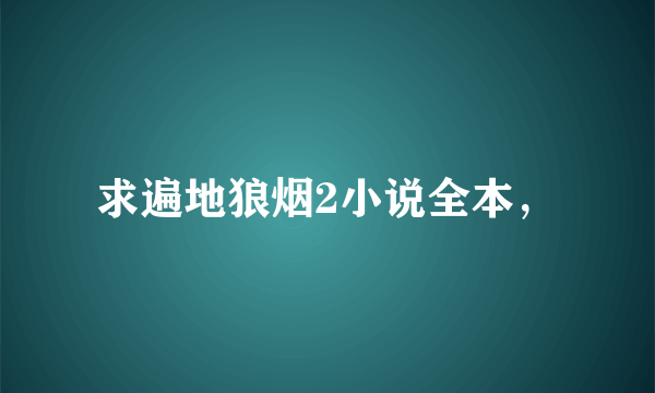 求遍地狼烟2小说全本，