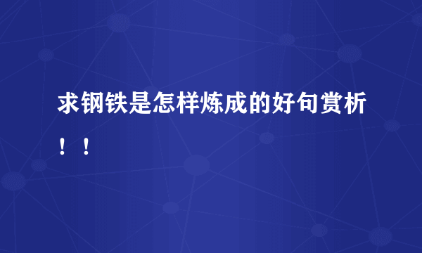 求钢铁是怎样炼成的好句赏析！！