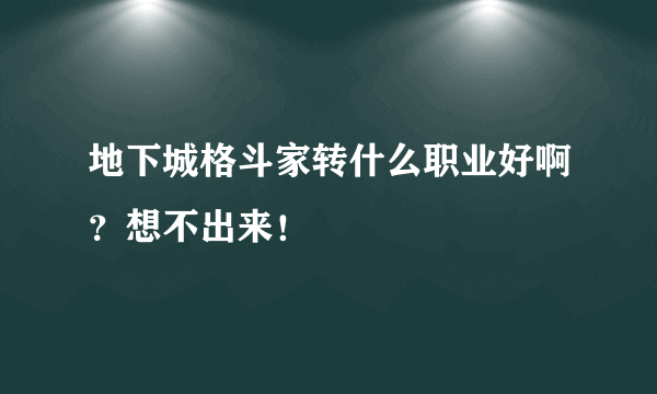 地下城格斗家转什么职业好啊？想不出来！