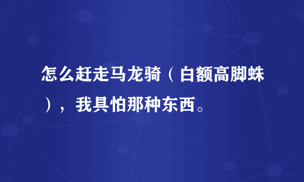 怎么赶走马龙骑（白额高脚蛛），我具怕那种东西。