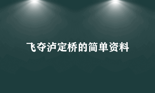 飞夺泸定桥的简单资料