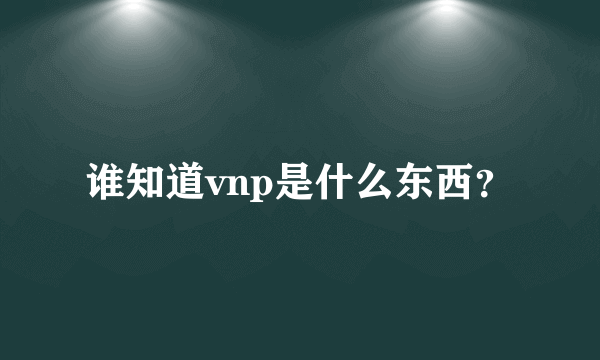 谁知道vnp是什么东西？