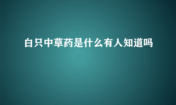 白只中草药是什么有人知道吗