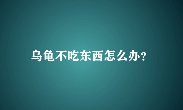 乌龟不吃东西怎么办？