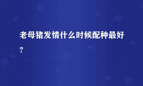 老母猪发情什么时候配种最好？