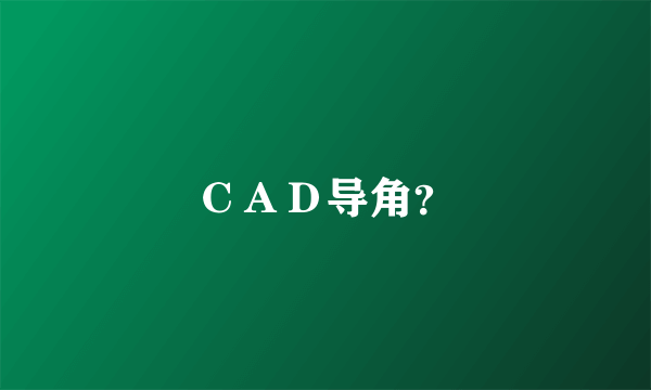 ＣＡＤ导角？