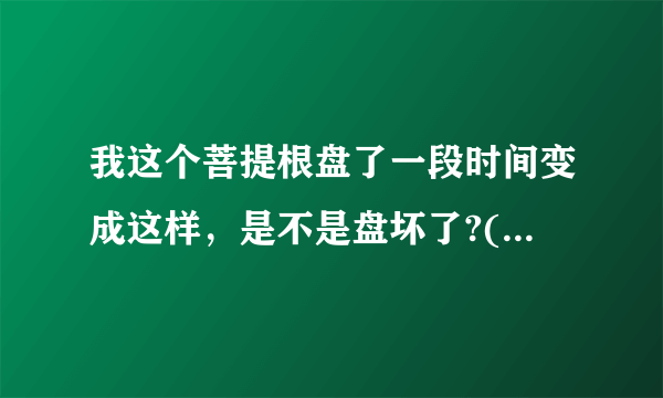 我这个菩提根盘了一段时间变成这样，是不是盘坏了?()图可能有点色差，