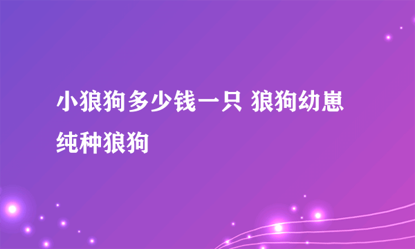 小狼狗多少钱一只 狼狗幼崽 纯种狼狗