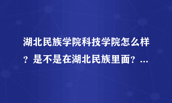 湖北民族学院科技学院怎么样？是不是在湖北民族里面？求急~~