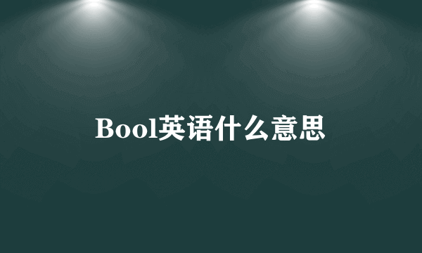 Bool英语什么意思