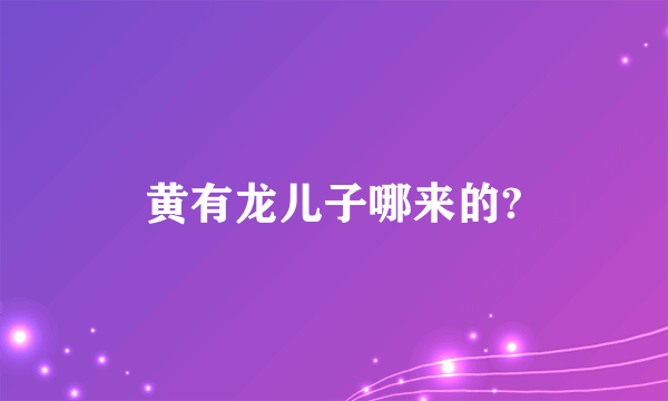 黄有龙儿子哪来的?