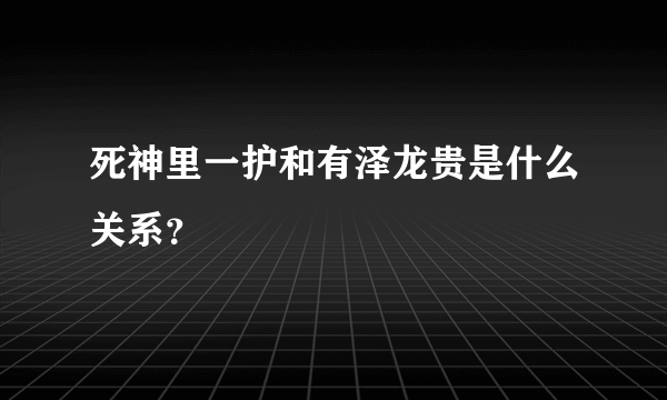 死神里一护和有泽龙贵是什么关系？