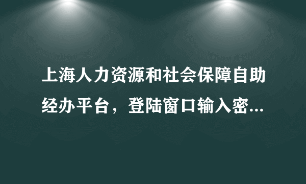 上海人力资源和社会保障自助经办平台，登陆窗口输入密码后进不去，下面显示了SP是什么意思呢。求解。