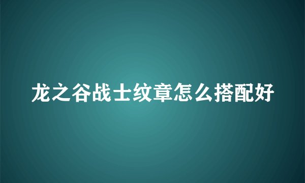 龙之谷战士纹章怎么搭配好