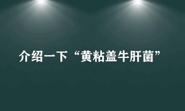 介绍一下“黄粘盖牛肝菌”