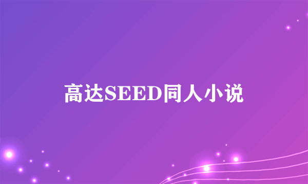 高达SEED同人小说