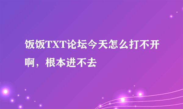 饭饭TXT论坛今天怎么打不开啊，根本进不去