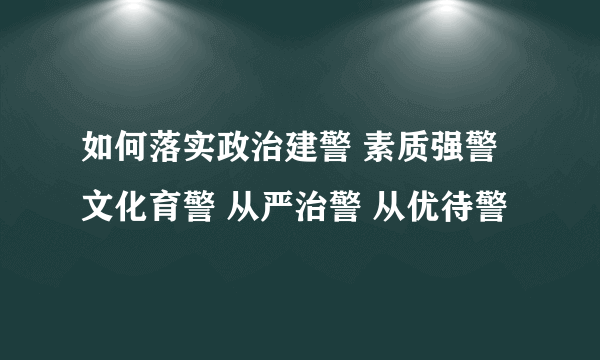 如何落实政治建警 素质强警 文化育警 从严治警 从优待警