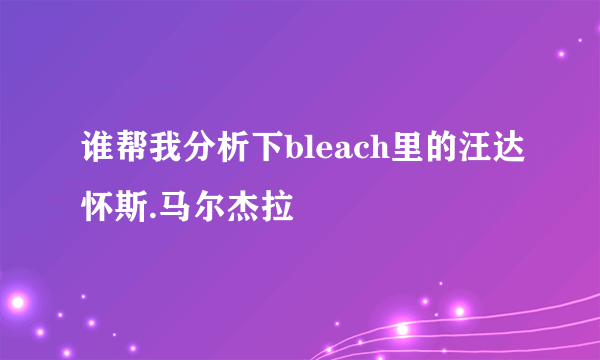 谁帮我分析下bleach里的汪达怀斯.马尔杰拉