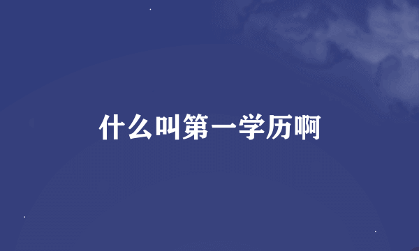 什么叫第一学历啊