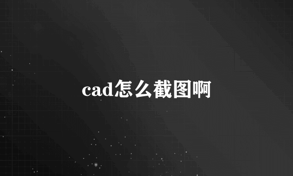 cad怎么截图啊