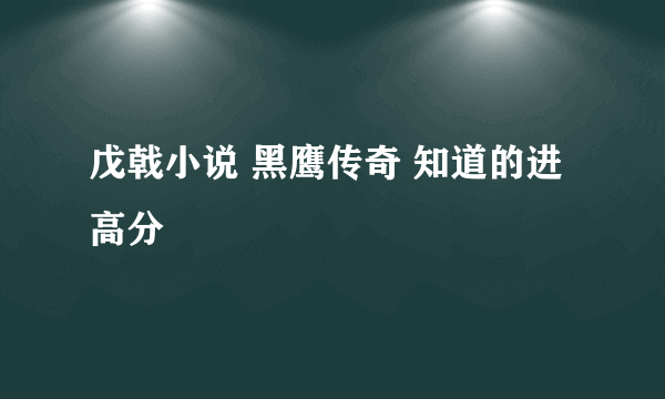 戊戟小说 黑鹰传奇 知道的进 高分