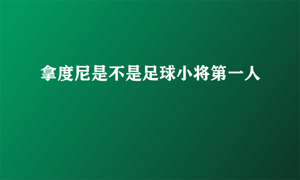 拿度尼是不是足球小将第一人