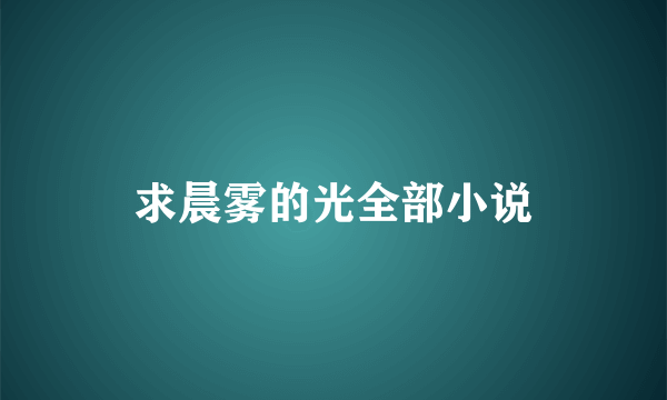 求晨雾的光全部小说