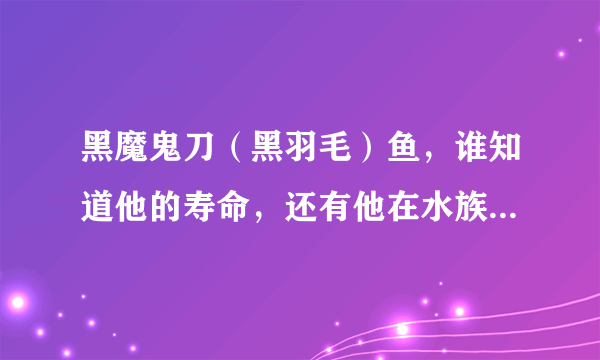 黑魔鬼刀（黑羽毛）鱼，谁知道他的寿命，还有他在水族箱中1年能长多大，几年能长到成鱼。