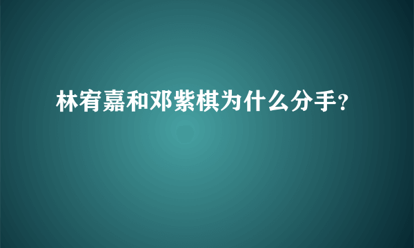 林宥嘉和邓紫棋为什么分手？